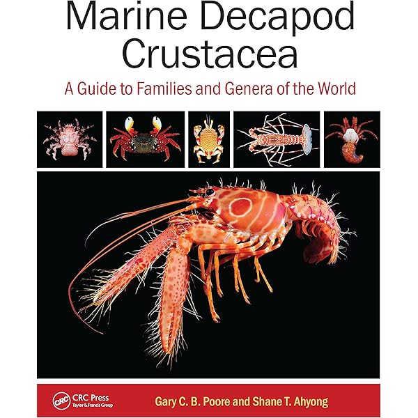 洋書 CRUSTACEA Guide Of The World 71CIbSImOPL.jpg_BO30,255,255,
